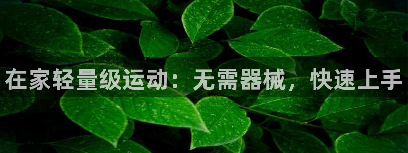 尊龙凯时用户名m：在家轻量级运动：无需器械，快速上手