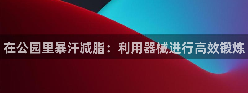 尊龙新版app首页：在公园里暴汗减脂：利用器械进行高