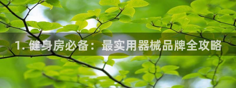 凯时AG网：1. 健身房必备：最实用器械品牌全攻略