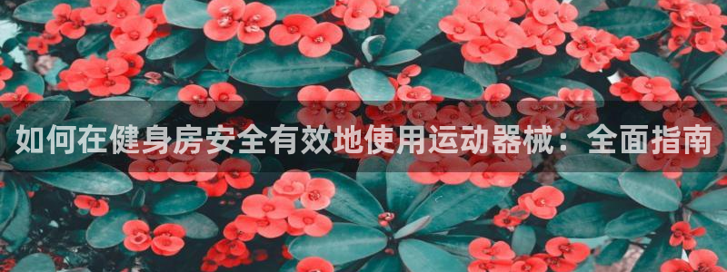 尊龙凯时人生就是博·(中国)官网最新：如何在健身房安